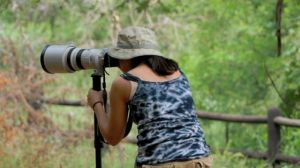 kruger-photo-safari