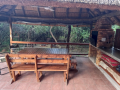 BBQ Area